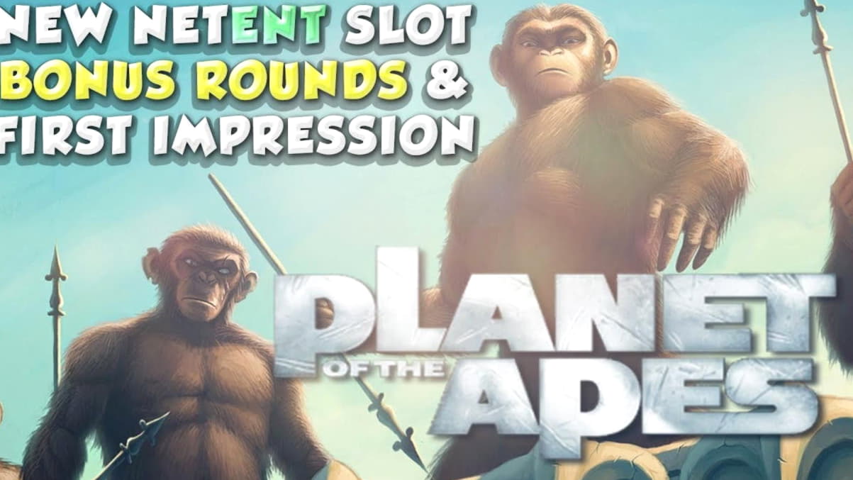 400% Bônus Sem Regras! no All Slots Casino